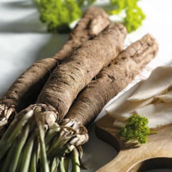 Съедобные корни и корнеплоды: свойства, о которых вы не знали Съедобные корни и корнеплоды: свойства, о которых вы не знали